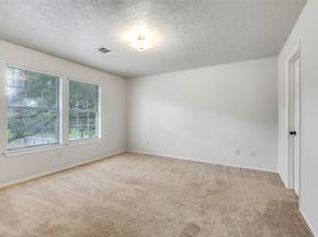 17214 Palm Falls Court, Houston TX 77095