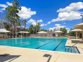 23026 Eastgate Village Drive, Spring TX 77373