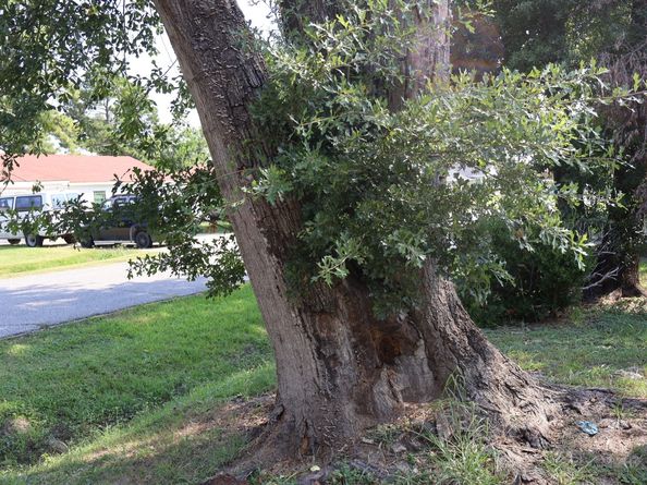 13350 Granada Street, Houston TX 77015