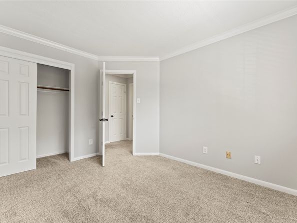 43 S Spiral Vine Circle, The Woodlands TX 77381