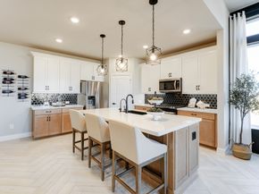 21706 Swift Flier Lane, Cypress TX 77433