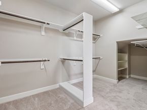 15 Verdin Place, The Woodlands TX 77389