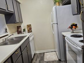 8433 Hearth Drive 38, Houston TX 77054