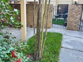 2329 W Settlers Way, The Woodlands TX 77380