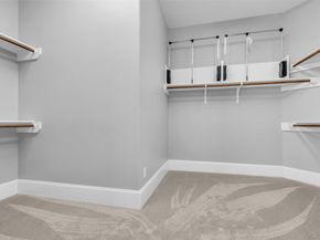 3611 Cape Vista Court, Spring TX 77386