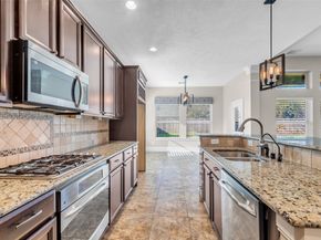 3611 Cape Vista Court, Spring TX 77386