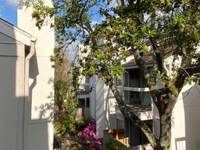 7950 N Stadium Drive 136, Houston TX 77030