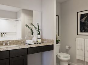 8131 Vanilla Orchid Drive, Houston TX 77016