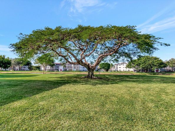 536 Fanshaw M, Boca Raton FL 33434