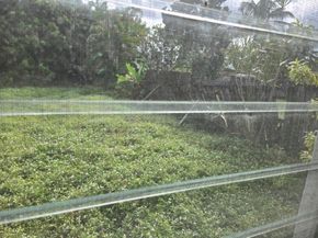 2702 Hayes St, Hollywood FL 33020