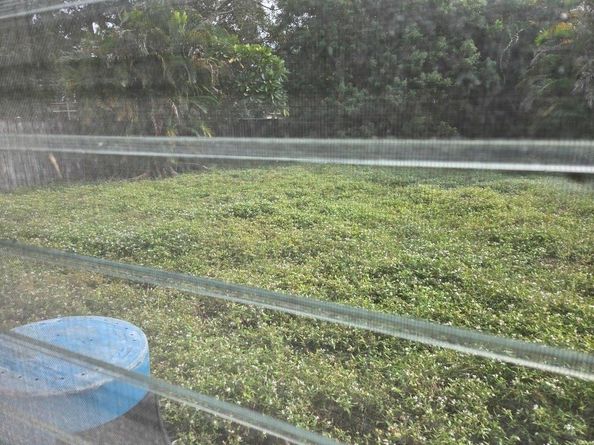 2702 Hayes St, Hollywood FL 33020