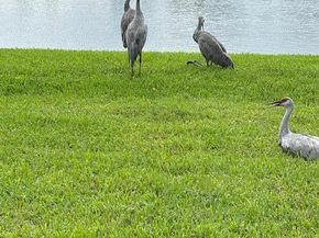 2585 San Andros, West Palm Beach FL 33411