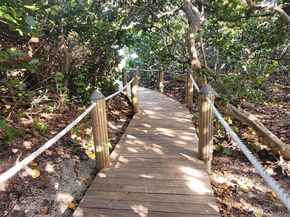 145 S Ocean Avenue 220, Singer Island FL 33404