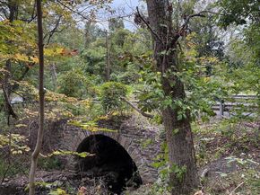 2034 Woodland Road, Jamison PA 18929