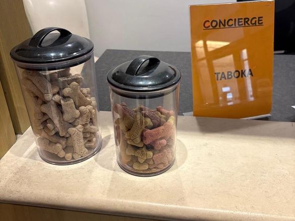 400 Massachusetts Avenue NW 1214, Washington DC 20001