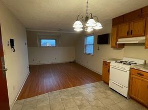 1324 W Nedro Avenue, Philadelphia PA 19141