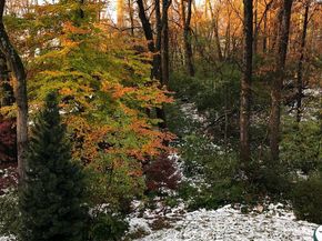 7318 Burdette Court, Bethesda MD 20817