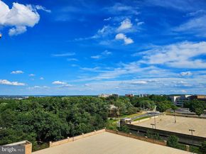 3709 George Mason Drive S 710 EAST, Falls Church VA 22041