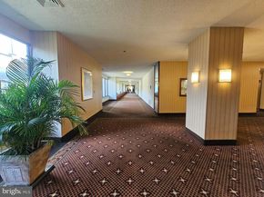 3709 George Mason Drive S 710 EAST, Falls Church VA 22041