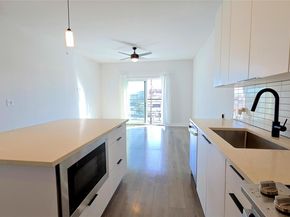 2220 Webberville RD 303, Austin TX 78702