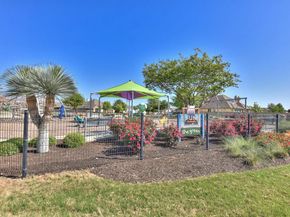 117 Salt Fork DR, Liberty Hill TX 78642