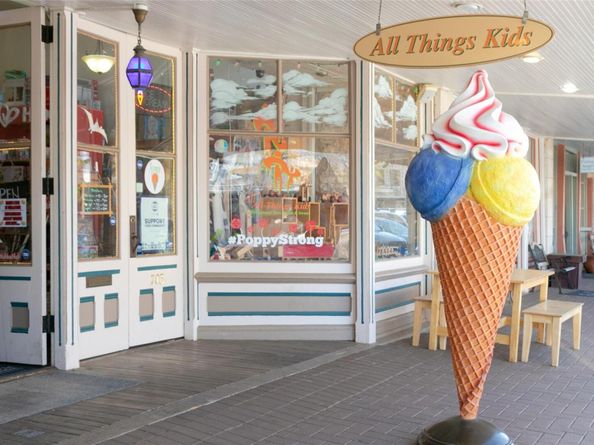 1308 Scarlet Sage DR, Georgetown TX 78628