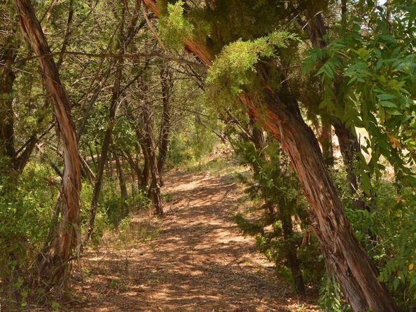 2408 Claret CV 110, Austin TX 78748