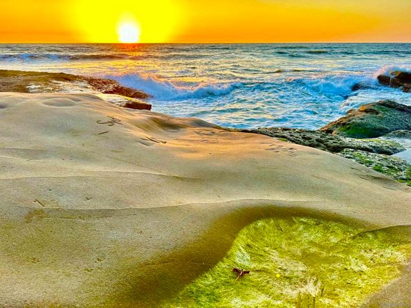 4985 89 Narragansett Ave, San Diego CA 92107