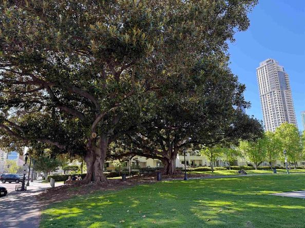 620 State st 115, San Diego CA 92101