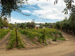 12872 Circulo Dardo, San Diego CA 92128