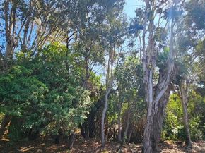 2412 Altisma Way D, Carlsbad CA 92009