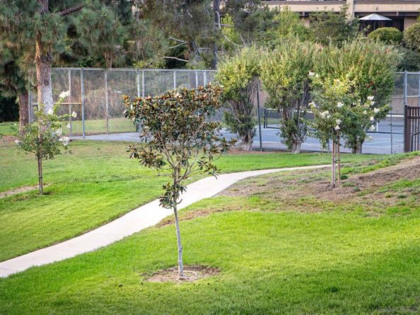 7325 Alicante Rd A, Carlsbad CA 92009