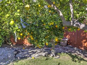 324 N Adams, Glendale CA 91206