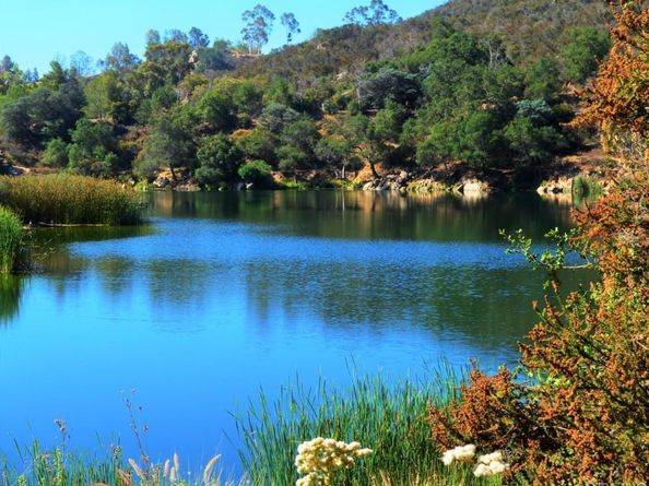 303 Amparo Drive, Escondido CA 92025