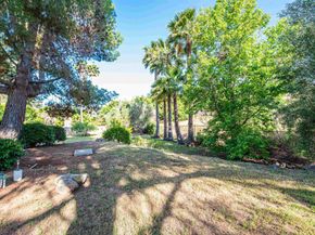 2432 Live Oak Road, Escondido CA 92029