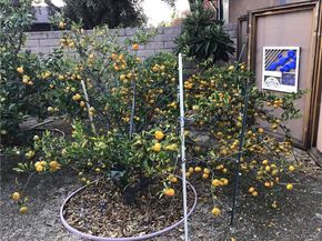 17147 Vintage, Northridge CA 91325