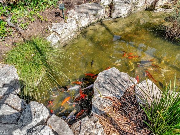 564 N Bellflower Boulevard 316, Long Beach CA 90814