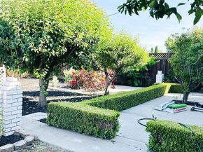 6916 Graham Avenue, Newark CA 94560