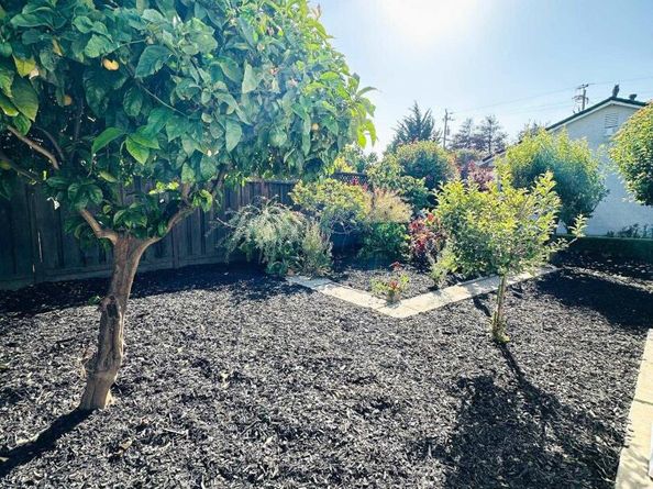 6916 Graham Avenue, Newark CA 94560