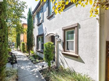 3135 Vittoria Loop