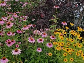 493 Kell Place, Seaford NY 11783