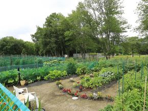 175 B Long Hill Drive, Yorktown Heights NY 10598