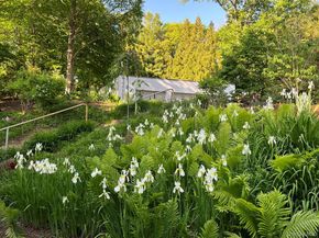 54 Cross Pond Road, Pound Ridge NY 10576