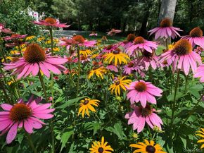 54 Cross Pond Road, Pound Ridge NY 10576