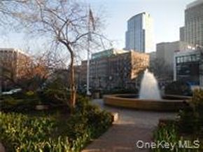 3 Franklin Avenue 1N, White Plains NY 10601