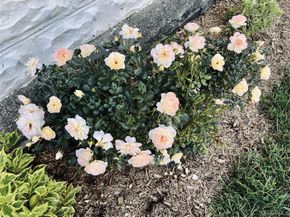 8 Harper Avenue, Montrose NY 10548