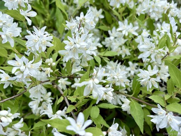 8 Harper Avenue, Montrose NY 10548