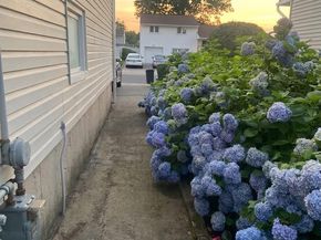 270 Nancy Drive, East Meadow NY 11554