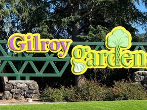 1387 Ores Way, Gilroy CA 95020