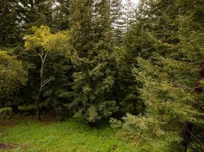 601 Lassen Park Court, Scotts Valley CA 95066